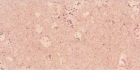 Cork Flooring (hk-1018)