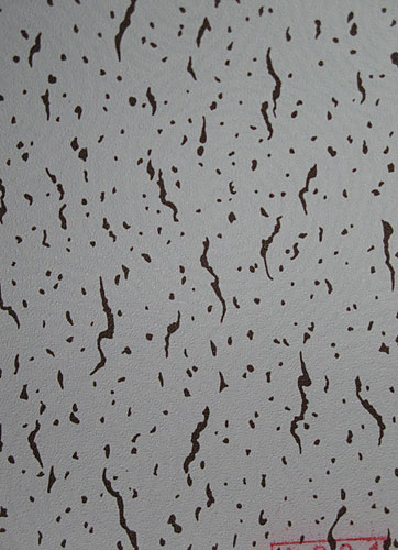 Perforated Gypsum Ceiling Board (GB007)