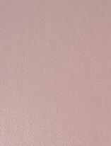 Synthetic Leather
