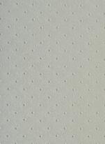 Synthetic Leather