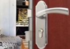 Stainless steel door handle (50701611)