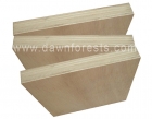 Commercial Plywood (CP10)