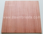 Commercial Plywood (CP12)