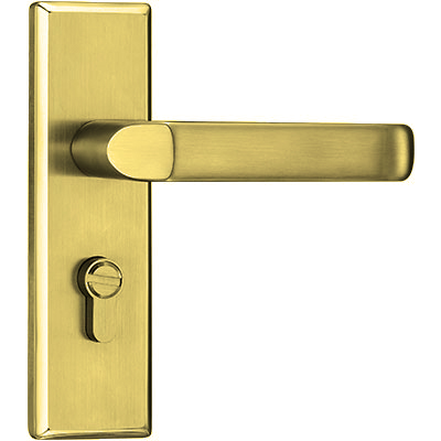 Bathroom Lock (B-311)