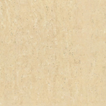 Polished floor tile