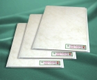 PVC Ceiling Tile(B45-MSK2)