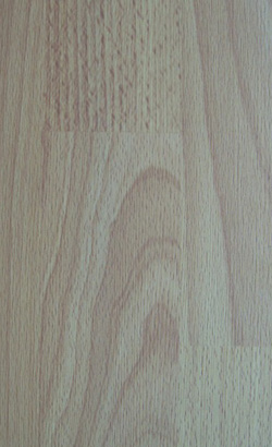 Laminate Floor