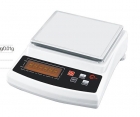 Electronic balance