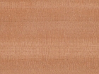 Plywood (NRCM25)