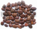 A-grade red pebble stone (TY5001S1A)