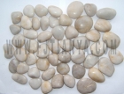A-grade white pebble stone (TY5001S3A)