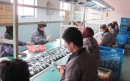 Ningbo Hanlong Sanitary Ware Co., Ltd.