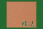 PVC Veneer Gypsum Board (O1)