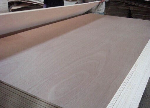 Commercial Plywood (CP07)