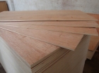 Commercial Plywood (CP09)