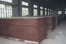 Linyi Chaosheng Wood CO., LTD.