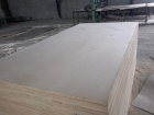 Commercial Plywood