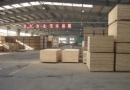 Xuzhou Runde International Trade Co., Ltd.