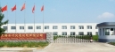 Shanghai Hesing Industrial Co., Ltd.