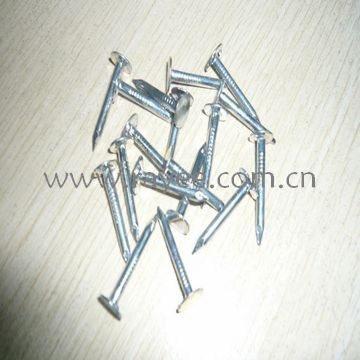 Roofing Nail