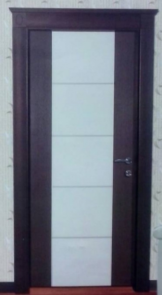 PVC door