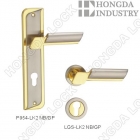 Doorlock (P954-LK2-NB)