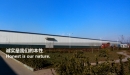 Shijiazhuang March Auto Parts Co., Ltd.