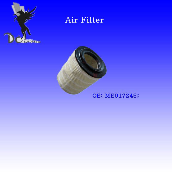 Air Filter (DCFA030)