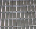 Galvanized Wire Mesh