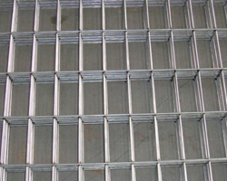 Galvanized Wire Mesh