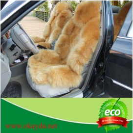 Seat Cover