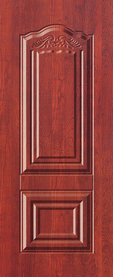 Door skin