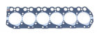 Cylinder Head Gasket