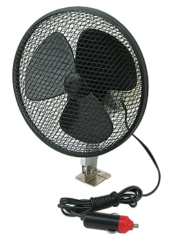 Fan