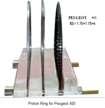 Piston Ring