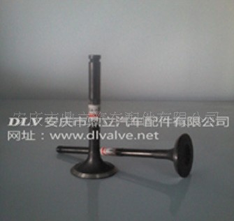 Exhaust Valve