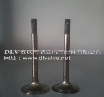 Exhaust Valve