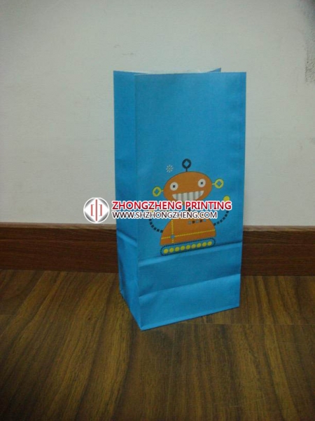 Gift Paper Bag