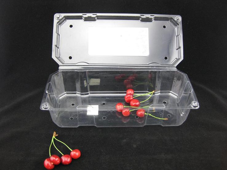 Fruit Box
