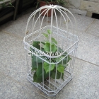 Pet Cages