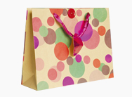 Gift Bag