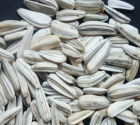 Sunflower Seeds-white sunflower seeds