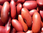 Kidney Bean-Red Kidney Bean