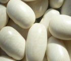 Kidney Bean-Medium White Kidney Bean