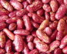 Kidney Bean-Red Speckled Kidney Bean