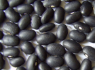 Kidney Bean-Black Bean