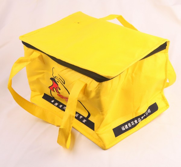 Cooler bag