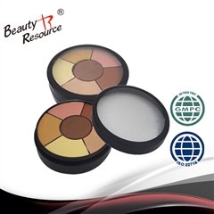 cosmetic concealer hot sale popular concealer