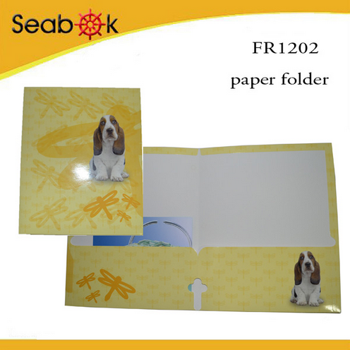 Paper Folder