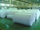 Shandong Pulp And Paper Co., Ltd.